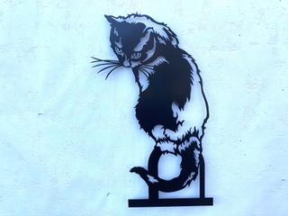 INT33 - Chat perché